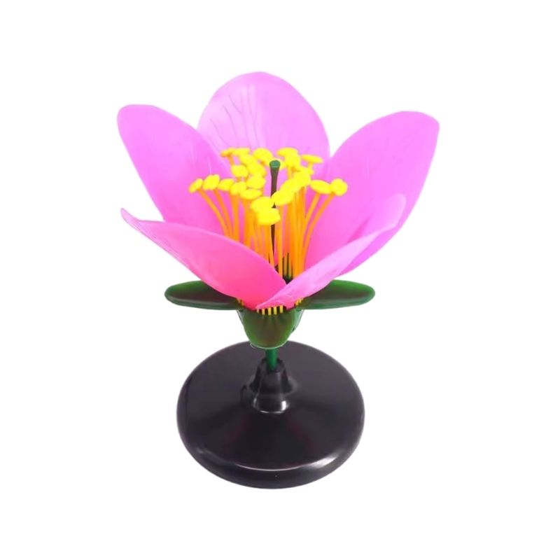 Science Exhibition Models - K9FC Realistic Plant Teaching Model For