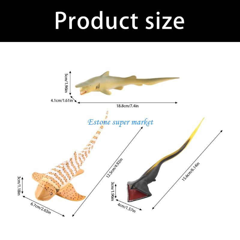 090B Realistic Fish Animal Mod - Science Exhibition Models ulasan dan harga