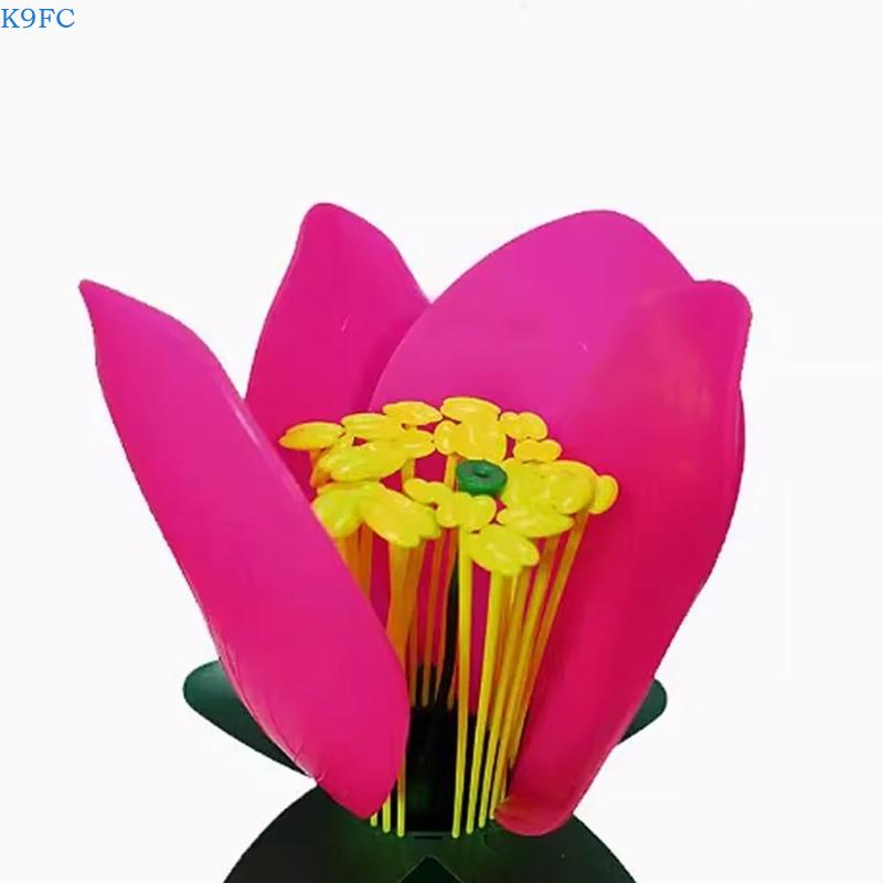K9FC Realistic Plant Teaching  - Science Exhibition Models ulasan dan harga
