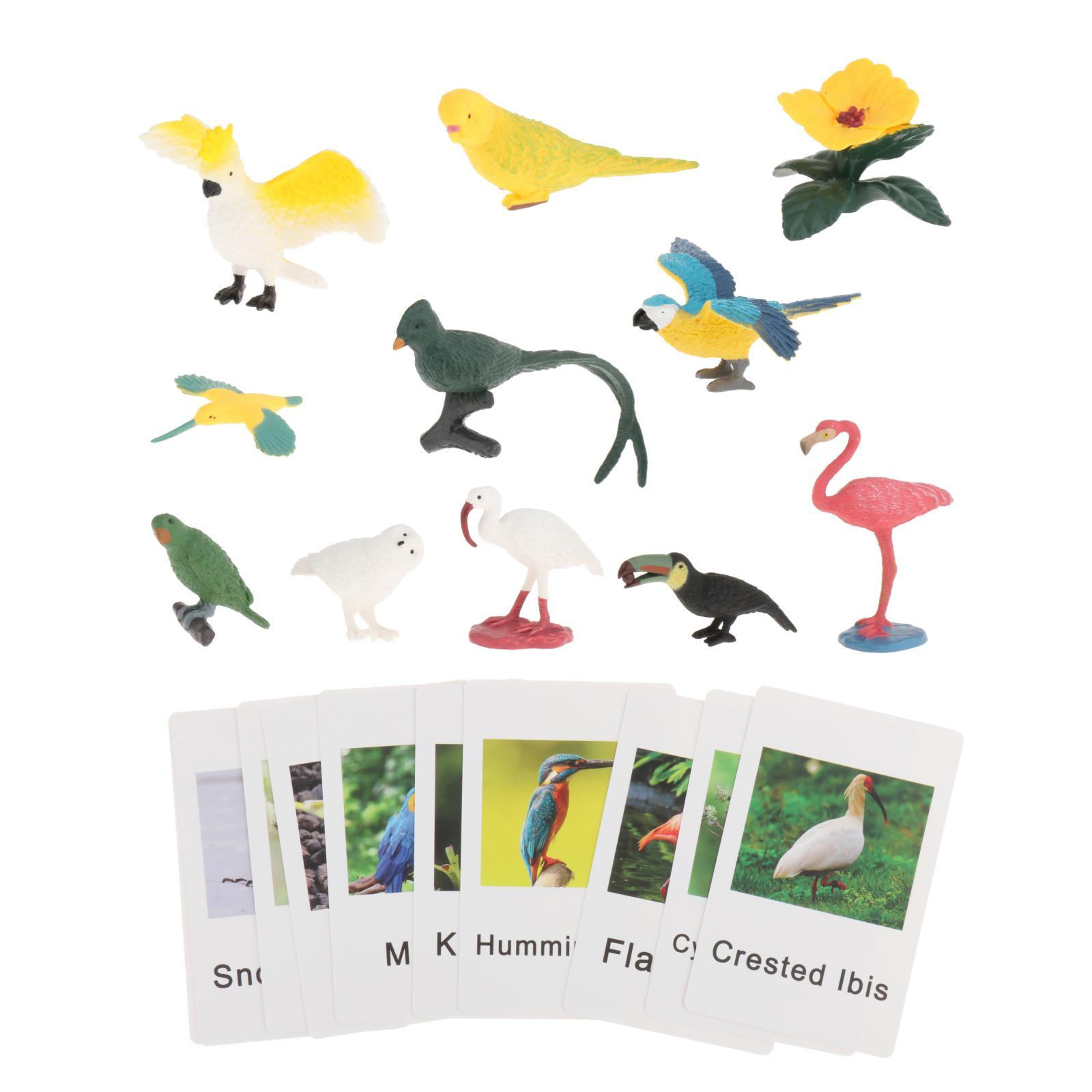 Montessori Animal Figures with - Science Nature ulasan dan harga