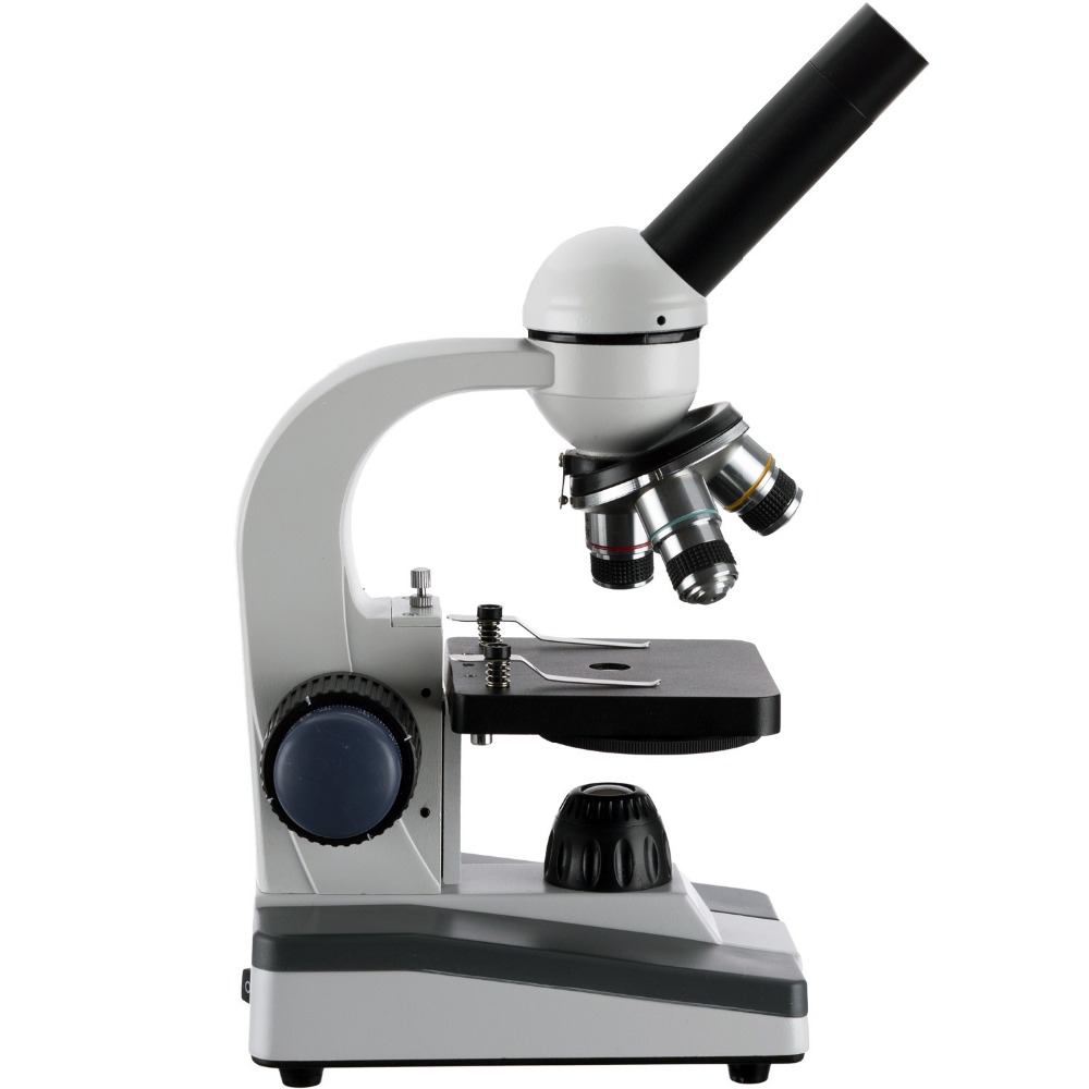 AmScope M150 Series Portable L - Microscope Compound 40X ulasan dan harga