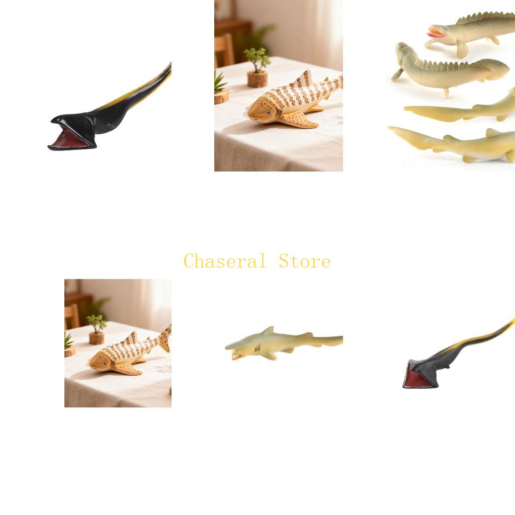 E7CE Realistic Fish Model for  - Science Exhibition Models ulasan dan harga
