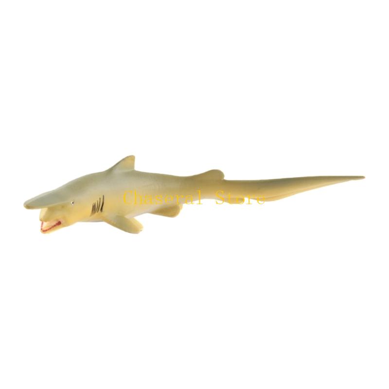 E7CE Realistic Fish Model for  - Science Exhibition Models ulasan dan harga
