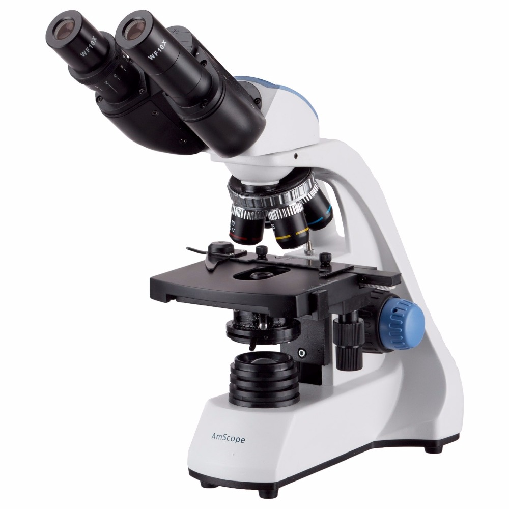 AmScope 40X-2000X LED Binocula - Microscope Compound 40X ulasan dan harga