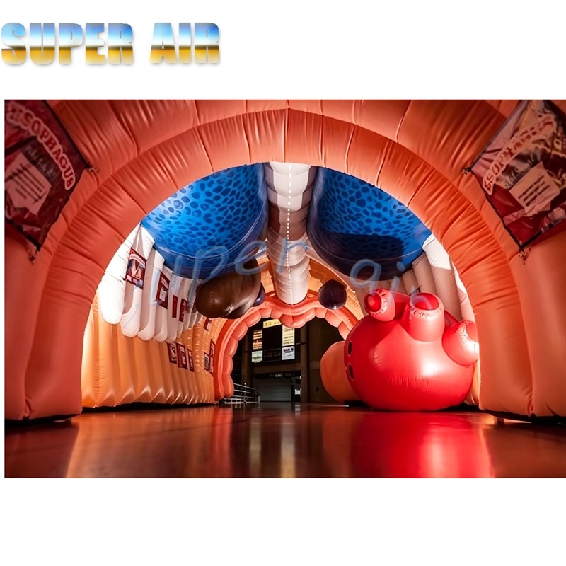 Giant Inflatable Human Body Mo - Science Exhibition Models ulasan dan harga