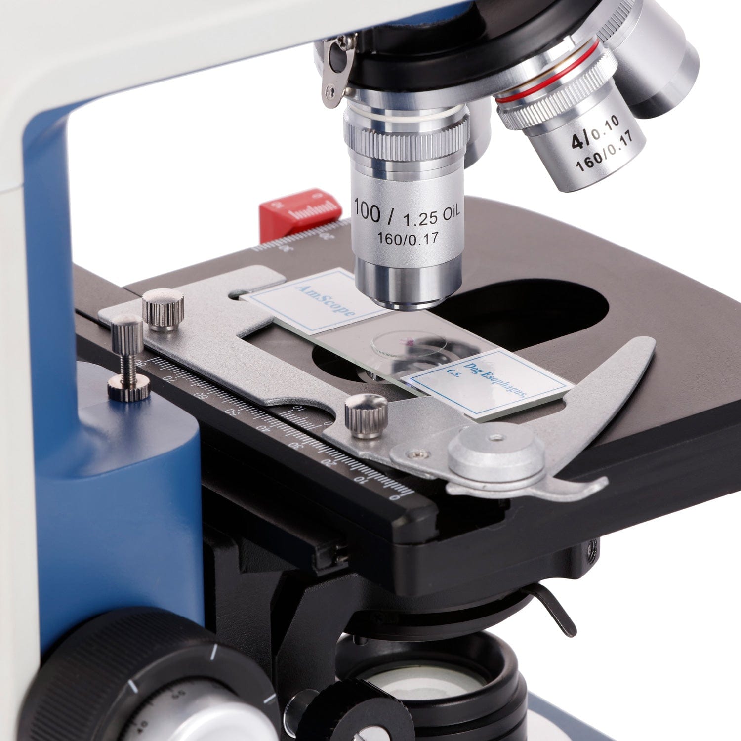 AmScope  40X-2500X Magnificati - Microscope Compound 40X ulasan dan harga