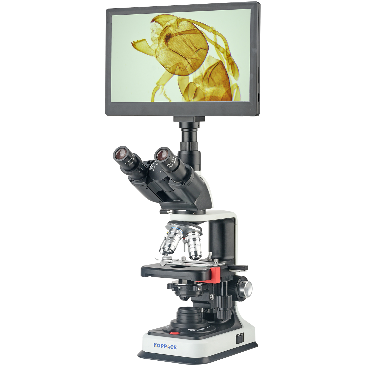 KOPPACE 40X-2500X Electron Com - Microscope Compound 40X ulasan dan harga