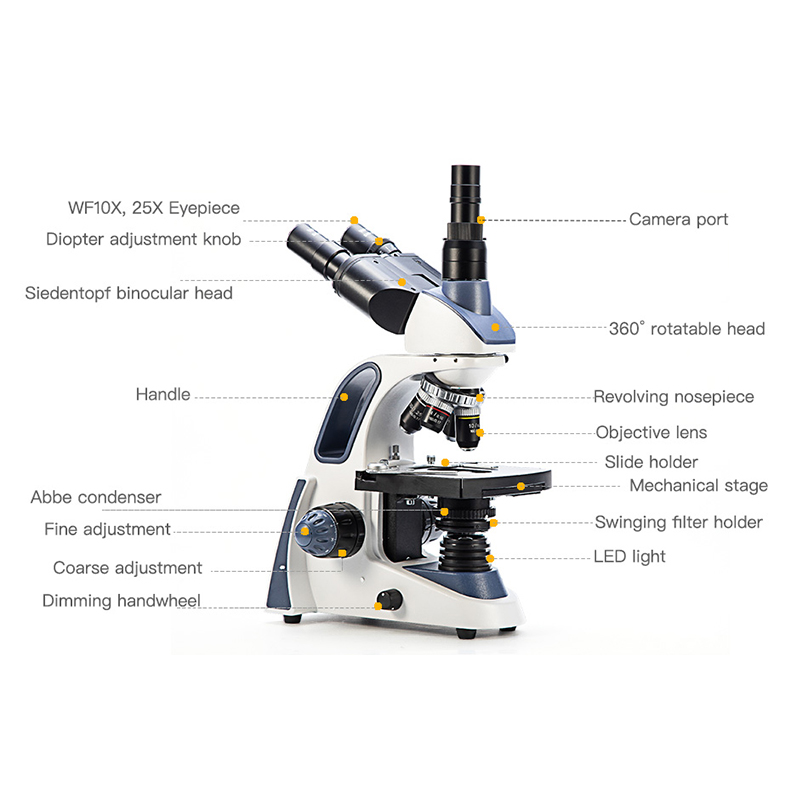 SWIFT SW380T Compound Trinocul - Microscope Compound 40X ulasan dan harga