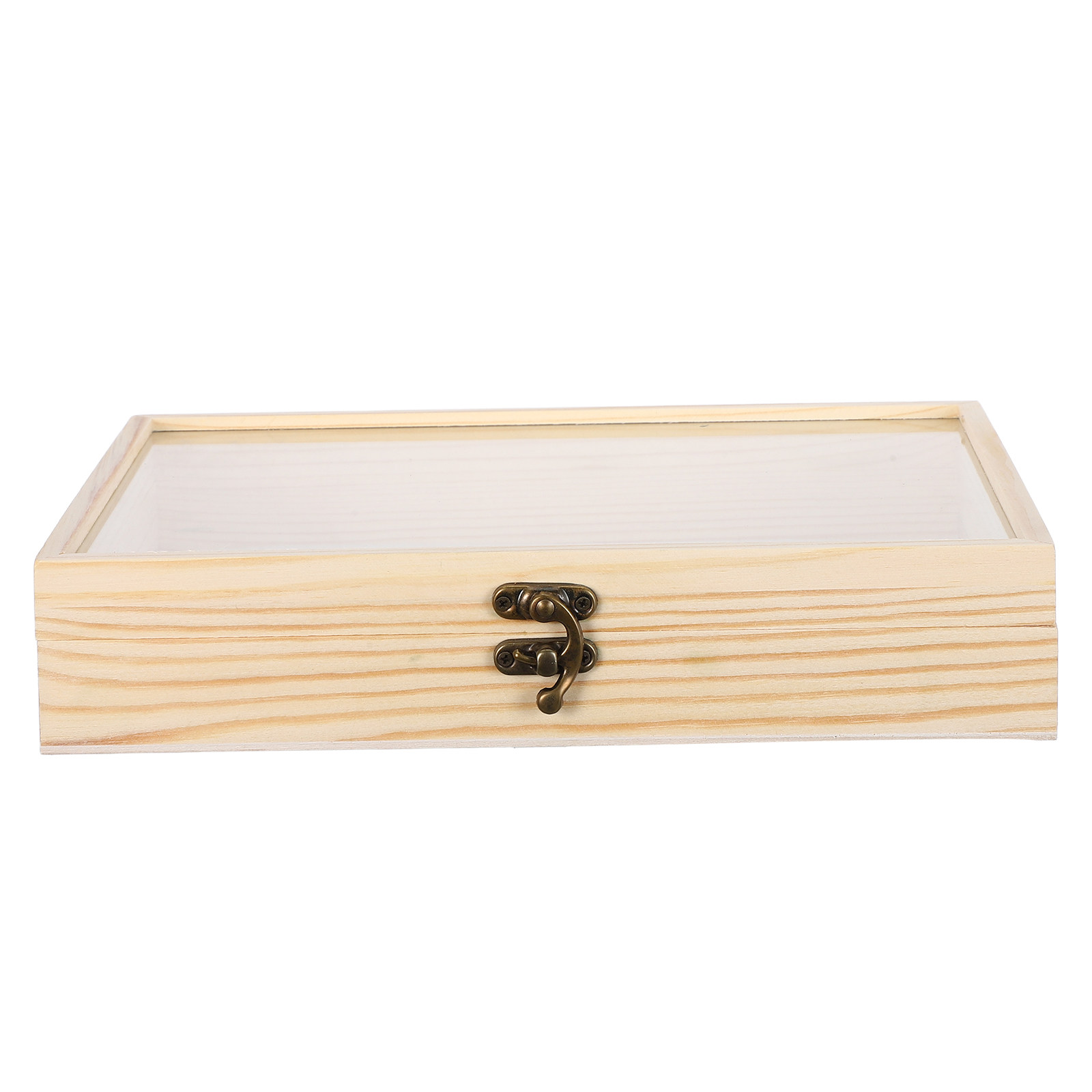Solid Wood Insect Specimen Dis - Science Project ulasan dan harga
