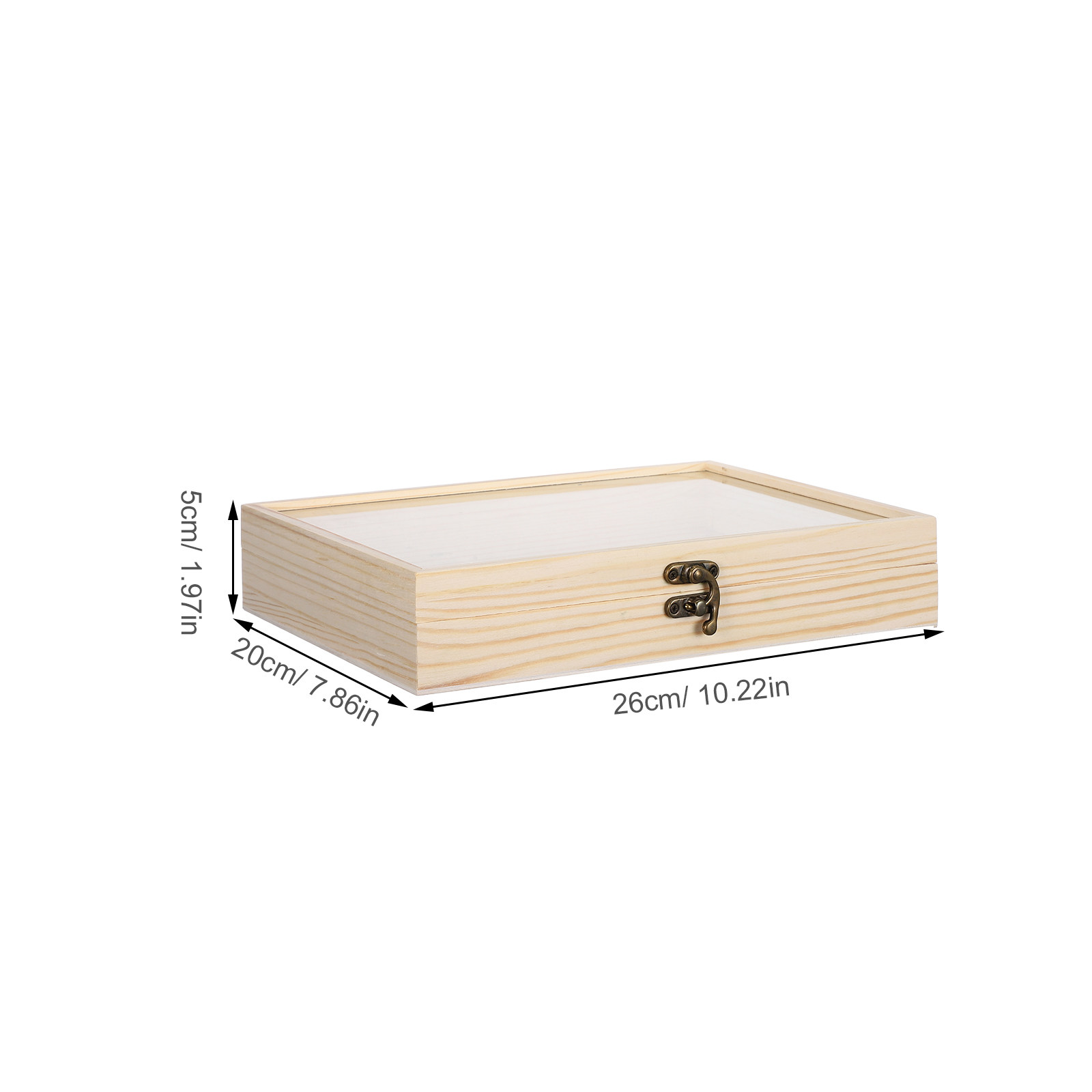Solid Wood Insect Specimen Dis - Science Project ulasan dan harga