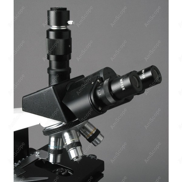 AmScope T490 Series Simul-Foca - Microscope Compound 40X ulasan dan harga