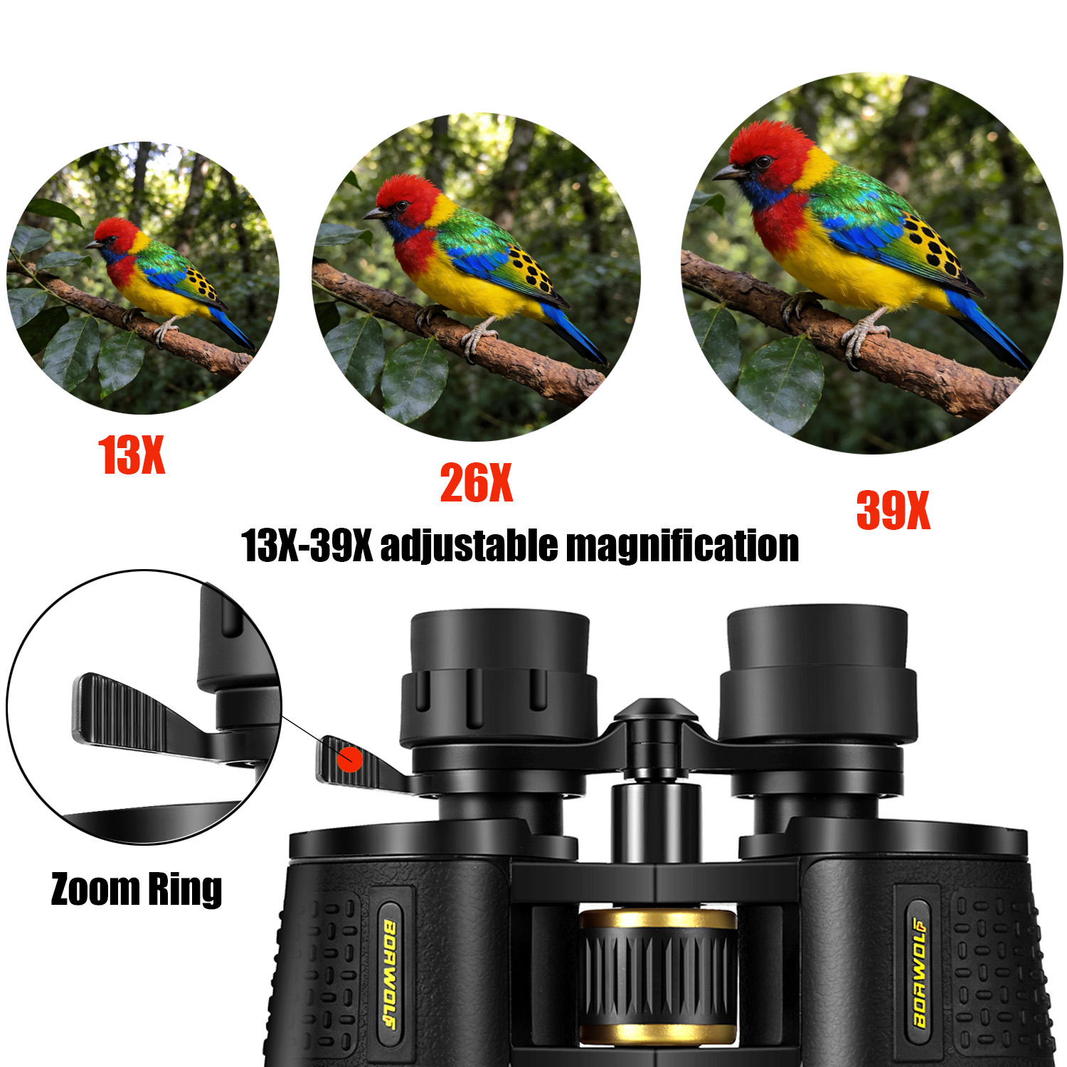 BORWOLF 13-39X70 ED High Magni - National Geographic Telescope 70Mm ulasan dan harga