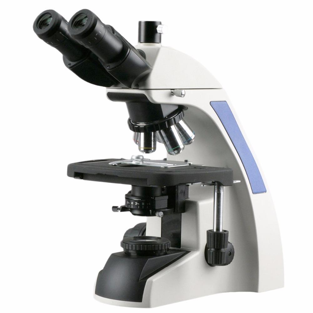 AmScope T720 Series Infinity-C - Microscope Compound 40X ulasan dan harga