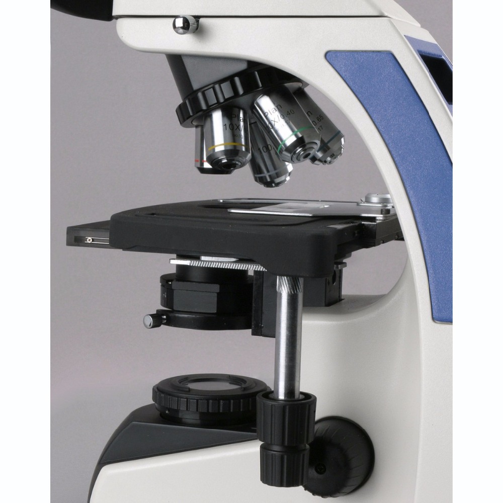 AmScope T720 Series Infinity-C - Microscope Compound 40X ulasan dan harga