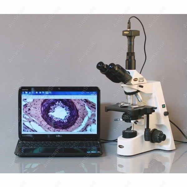 AmScope 40X-2500X Infinity Koh - Microscope Compound 40X ulasan dan harga