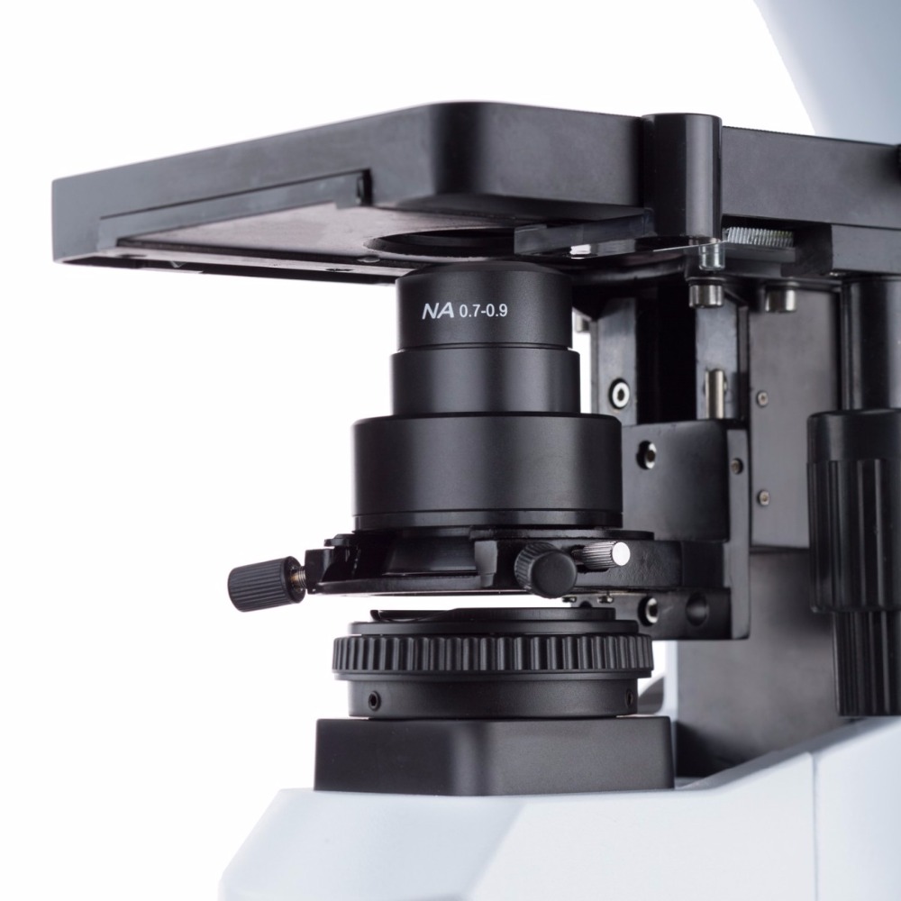 AmScope Infinity-corrected Dar - Amscope Microscope Compound 40X-1000X ulasan dan harga