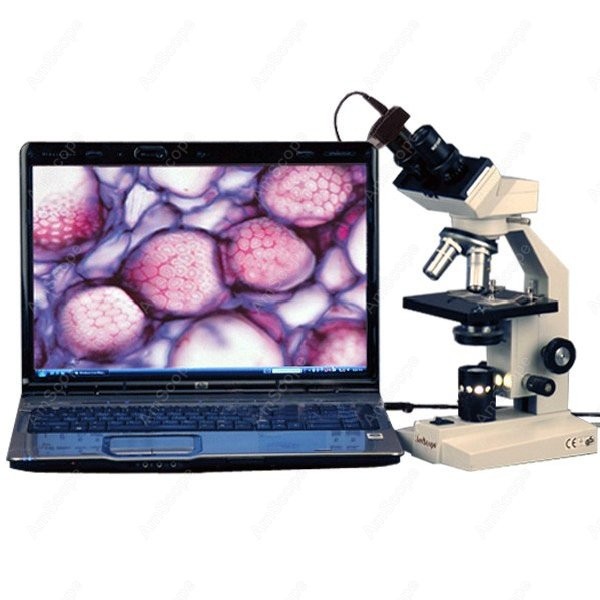 AmScope B100 Series Biological - Amscope Microscope Compound 40X-1000X ulasan dan harga